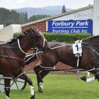 Samantha Ottley guides the Mark Jones-trained Artatac to victory over A Bettor Act in the Grass...