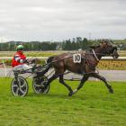 Johnny Mac wins the Gore Cup yesterday for driver Blair Orange and trainer Michael House. PHOTO:...