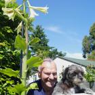 Vic Moody and dog Bonnie stand next to a mysterious floral visitor in their Clinton garden...