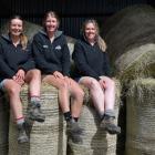 At the Fairlight Station annual sire stag auction in Northern Southland last week are station...