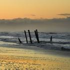 The St Clair poles in August last year. Photo: Stephen Jaquiery