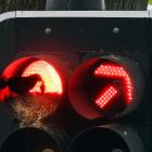 A pair of blackbirds look after their chicks in a red light cowling at traffic lights in Dunedin...