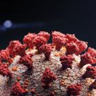 A cure for the disease that has killed more than 312,000 people remains a long way off — and...