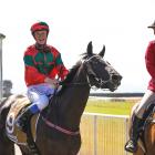 A smiling Corey Campbell returns to the birdcage at Riverton on Saturday after Phyllite stormed...
