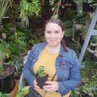 Sian Elder adds to her collection of plants during a trip to Auckland. PHOTO: VAUGHAN ELDER