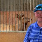 Littlebourne Farm owner Geoff Pullar at his 33rd annual wapiti sire sale in Winton.