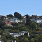 Houses in the Dunedin suburb of Kaikorai Valley. PHOTO: GREGOR RICHARDSON