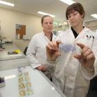 Dr Nadia Mitchell (left) and post doctoral fellow Dr Samantha Murray examine a brain cross...