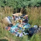 The Waitaki District Council fined an individual $400 for illegal dumping in Mount Trotter Rd,...