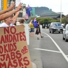 Protesters make their feelings known at a gathering near Toitū Otago Settlers Museum in Dunedin...