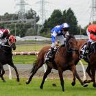 Invercargill Gold Cup Day, held on Saturday, is one of the Southland Racing Club’s most important...