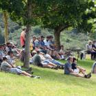 The crowd on the bank at the Lawrence Gymkhana Club’s working dog sale watch the entries being...