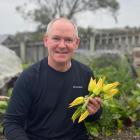 Neil Robinson shows his baby zucchini with flowers still attached. PHOTO: ROBINSON