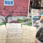 Clockwise from top left: Grapes grow again the west-facing brick garage wall. A bottle of Marquis...