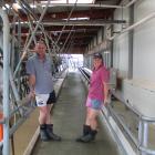 Relief milking is one of the farming jobs Kelvin Cormack and Janelle Davison do to support...