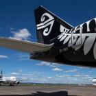 Dunedin Airport did not accept any increased risk to its operation was acceptable. Photo: ODT files 