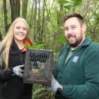 Jade Humphrey and Riccarton Bush park ranger Mike Steenson are working to eliminate predators...