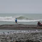 A lone angler targets sea-run salmon at the mouth of the Waitaki River last month. PHOTO:...