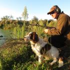 Rodney Herrick and gundog Ash hunt for ducks on their farm pond near Papakaio on opening weekend...