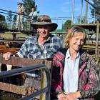 Simmental cattle breeders John and Ally Lozell debuted as vendors at the first calf sale of the...