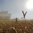 War and climate change-driven extreme weather events are combining to threaten global food...