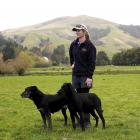 Glenaray Station shepherd Kirsty O’Connor prepares for the South Island sheep dog trial...