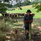 Lone Pine Simmental co-owner Dave Keown is offering 18 rising 2-year-old bulls at his 25th and...