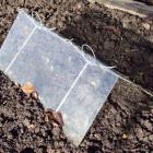 Use a cloche to protect early crops. Photo by Gillian Vine.