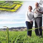 Anticipating a large residential development near their nursery in Mosgiel are Linda and Clive...