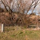 Police markings track the trail of a car that crashed into the Clutha River below the Roxburgh...