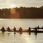 Rowers competing in the University of Otago’s 150th anniversary regatta line up for the men’s...