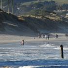 Poles remaining from the historic groyne system at St Clair beach on a recent June day. Photo:...