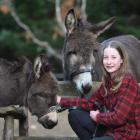 Dunedin’s Imogen Leaper has won a national award with her donkeys Coco (left) and Jasper. PHOTO:...