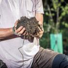 Our soil is 
the most 
complex 
ecosystem on 
the planet. Photo: Si Williams