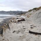 A protective barrier in front of Middle Beach dunes is exposed. PHOTOS: STEPHEN JAQUIERY