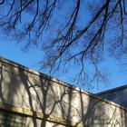 Winter branches and Hocken Collections. PHOTOS: ODT FILES
