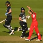 The White Ferns floundered with the bat, making just 71 runs. Photo: Getty Images