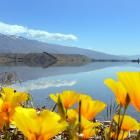 The Central Otago destination management plan has been released. PHOTO: STEPHEN JAQUIERY