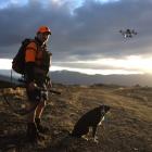 High Country Contracting team leader Stefan Hope and his dog are on the job, following up on...