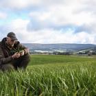 Rob Auld on his Southland farm, which comprises a sheep and cropping operation alongside a...