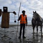 Wairio Hack Club president George Broughton, of Scott’s Gap, and horse Elva take a break from...