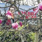 It’s fair to assume this was not the sign placement Dunedin City Council candidate Cherry Lucas...