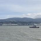The incident happened on Otago Harbour near Vauxhall. Photo: Supplied