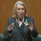 Taieri Labour MP Ingrid Leary might 
...