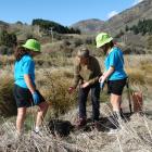Planting a kahikatea (white pine) are (from left) Anahera Ashby (11), Whakatipu Reforestation...
