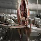 An automated lamb-cutting system takes apart a carcass.PHOTO: SUPPLIED 