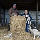Springbank farm owners Ross and Jo Hay are rearing orphan lambs, including their children’s pet...