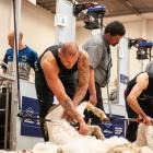 Central Otago shearer Stacey Te Huia competes in the open shearing final at the New Zealand...