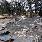 The fire that gutted a shed on this property where a gang-related shooting took place has been...