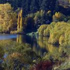 The entire Queenstown Lakes District will pay for the restoration of Lake Hayes over the next 10...